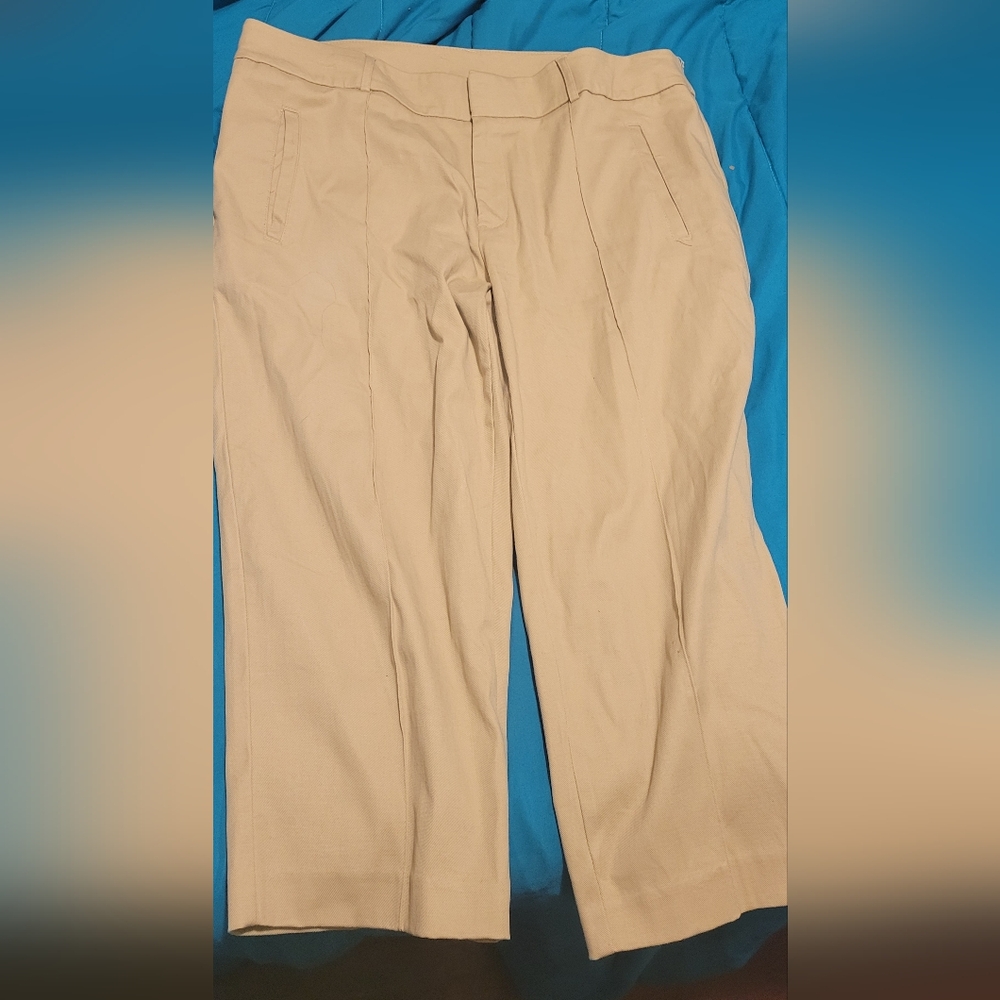Tan dress pants